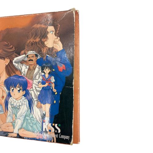 無人島物語(SLG) スーパーファミコン用ソフト 動作確認済み -