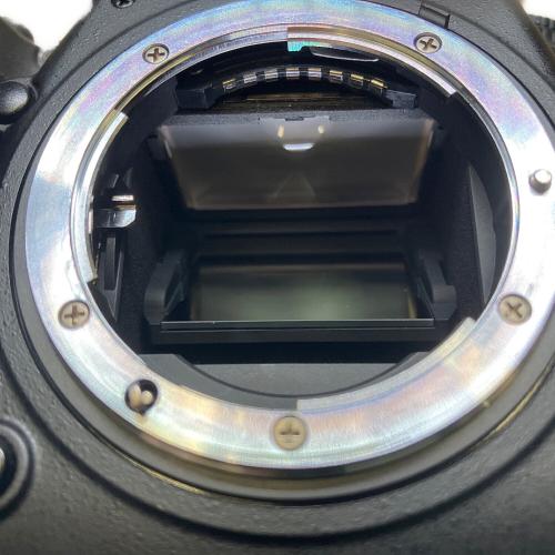 Nikon (ニコン) デジタル一眼レフカメラ D750