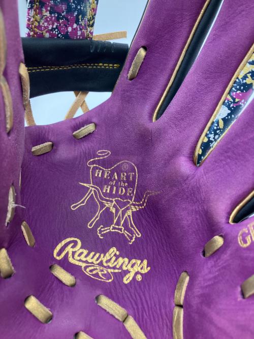 RAWLINGS (ローリングス) 軟式グローブ HOH BLIZZARD& WIZARD ネイビー×パープル