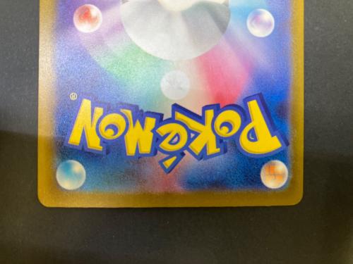 リザードンex ポケモンカード 349/190 SAR @ Π