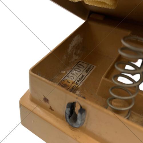 BOSS (ボス) ワウ TW-1