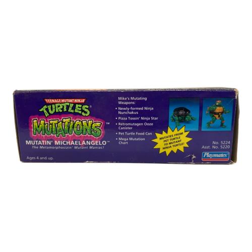 TURTLES フィギュア
