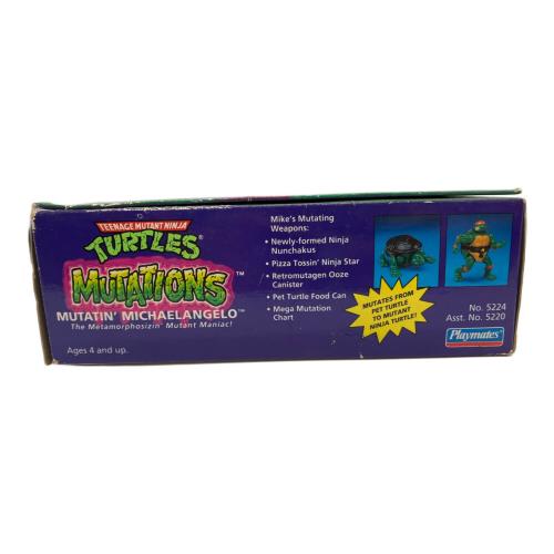 TURTLES フィギュア