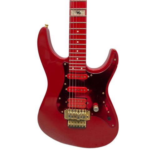 FERNANDES (フェルナンデス) ラルクアンシエル Kenモデル ストラトキャスター エレキギター FRT-5PRO-TRS