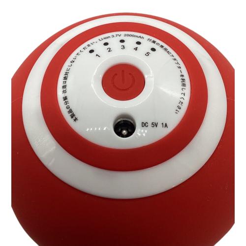 東急スポーツオアシス (トウキュウスポーツオアシス) スタイリーボール SLB-100