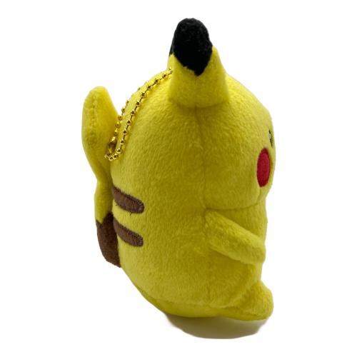 ナガノ ポケットモンスター 24じかんポケモンchu ピカチュウ