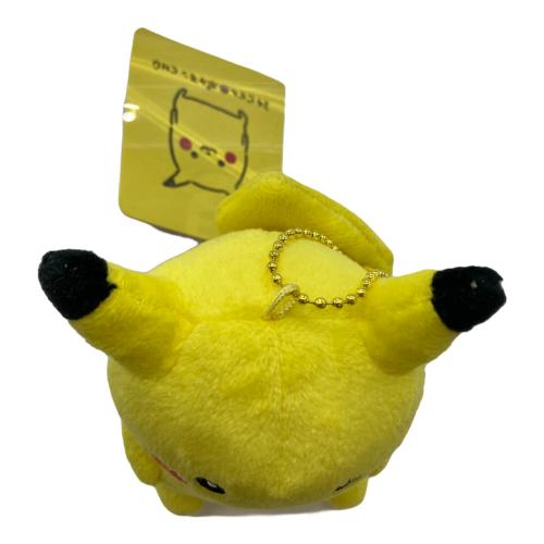 ナガノ ポケットモンスター 24じかんポケモンchu ピカチュウ