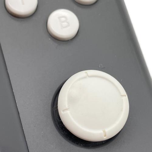 Nintendo (ニンテンドー) Nintendo Switch Lite HDH-001