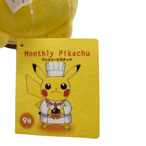 Pokemon Center (ポケモンセンター) マンスリーピカチュウ ヌイグルミ 9月