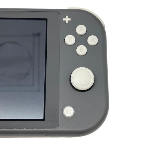 Nintendo (ニンテンドー) Nintendo Switch Lite HDH-001