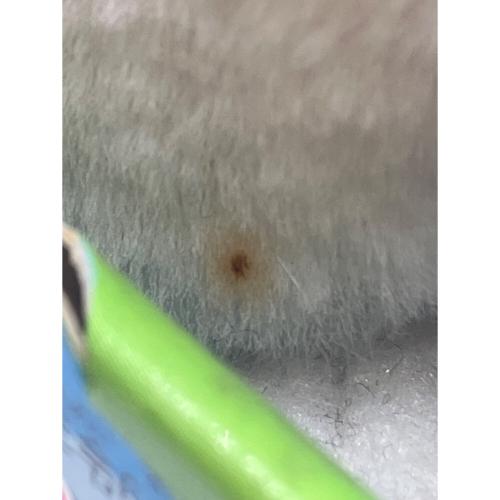 てのひらファービー 女の子おもちゃ 箱ダメージ有 経年の為動作保証無（内部液漏れの可能性有）