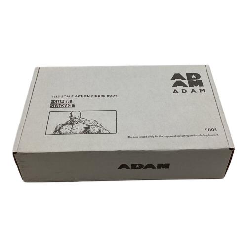 ADAM F001 COMIC STYLE BODY TYPE 未開封品