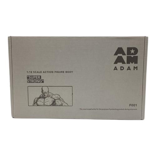 ADAM F001 COMIC STYLE BODY TYPE 未開封品