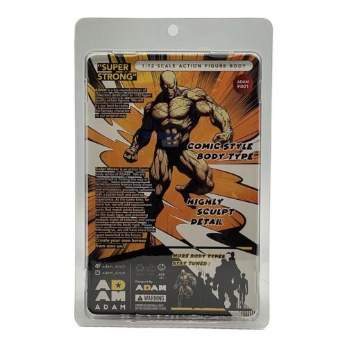 ADAM F001 COMIC STYLE BODY TYPE 未開封品
