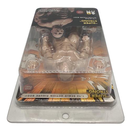 ADAM F001 COMIC STYLE BODY TYPE 未開封品