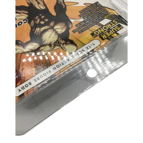 ADAM F001 COMIC STYLE BODY TYPE 未開封品