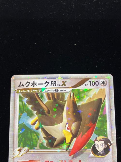 ムクホークFB LVX ポケモンカード 081/100