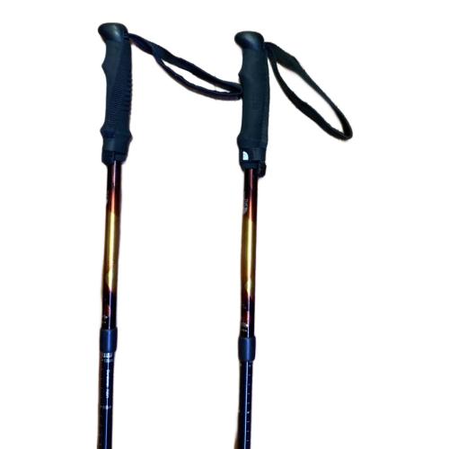 THE NORTH FACE (ザ ノース フェイス) トレッキングポール 10 オレンジ