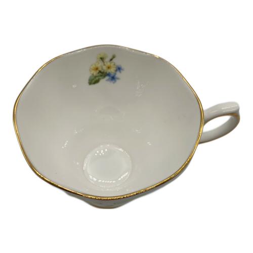 ROYAL ALBERT (ロイヤルアルバート) カップ&ソーサー 金彩ハガレ BOTANICAL TEAS