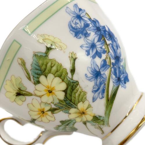 ROYAL ALBERT (ロイヤルアルバート) カップ&ソーサー 金彩ハガレ BOTANICAL TEAS