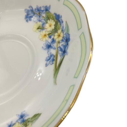 ROYAL ALBERT (ロイヤルアルバート) カップ&ソーサー 金彩ハガレ BOTANICAL TEAS