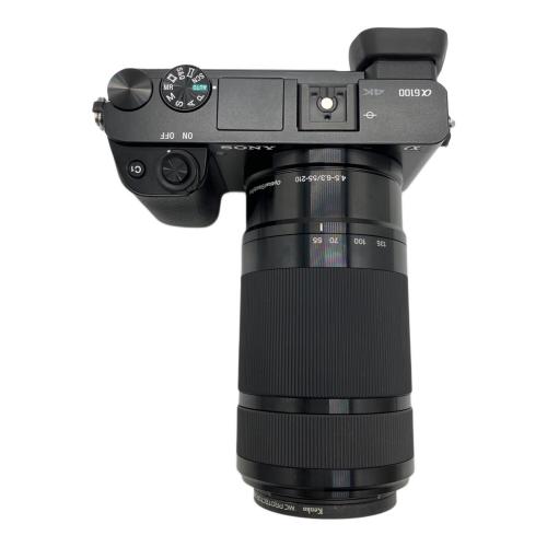 SONY (ソニー) ミラーレス一眼カメラ a6100 ILCE-6100Y