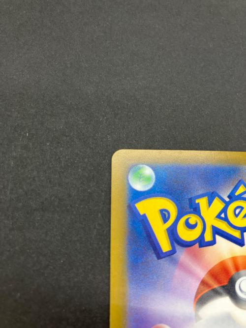 メガリザードンEX ポケモンカード 223/193 MA ケース入り