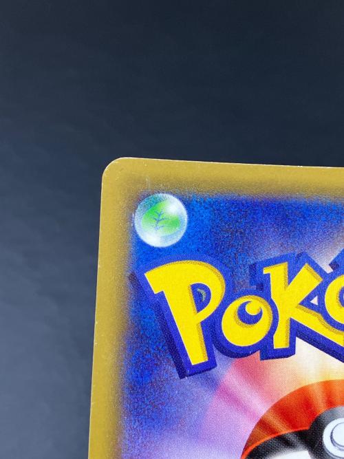 TVレポーター ポケモンカード 074/066 SR