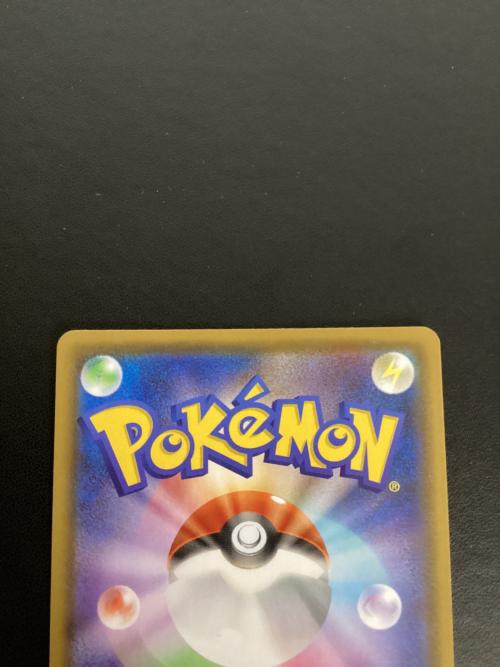 リーフィアVMAX ポケモンカード 088/069 HR