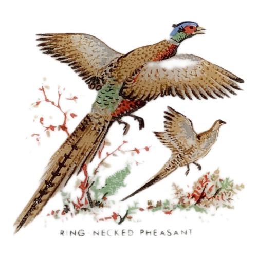 Fire King (ファイヤーキング) ディナープレート ゲームバード RING-NECKED PHEASANT