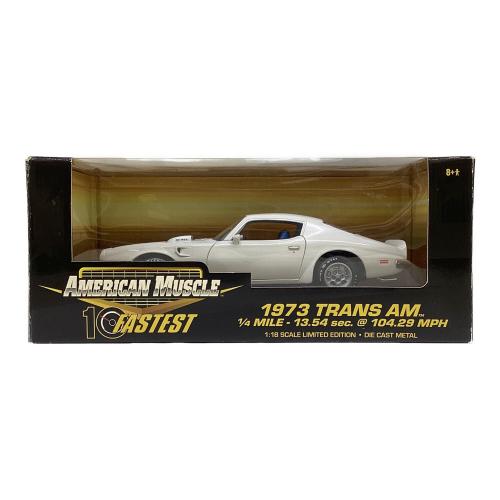 ERTL (アーテル) 1/18 1973 TRANS AM モデルカー