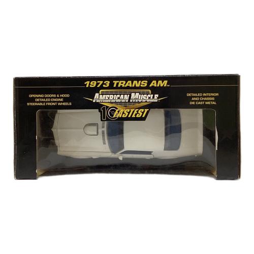ERTL (アーテル) 1/18 1973 TRANS AM モデルカー