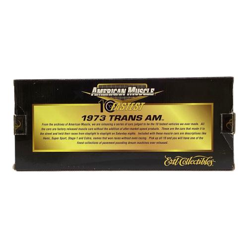 ERTL (アーテル) 1/18 1973 TRANS AM モデルカー