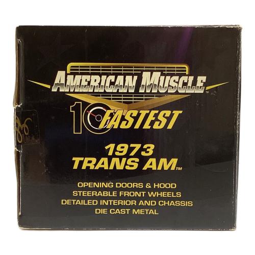 ERTL (アーテル) 1/18 1973 TRANS AM モデルカー