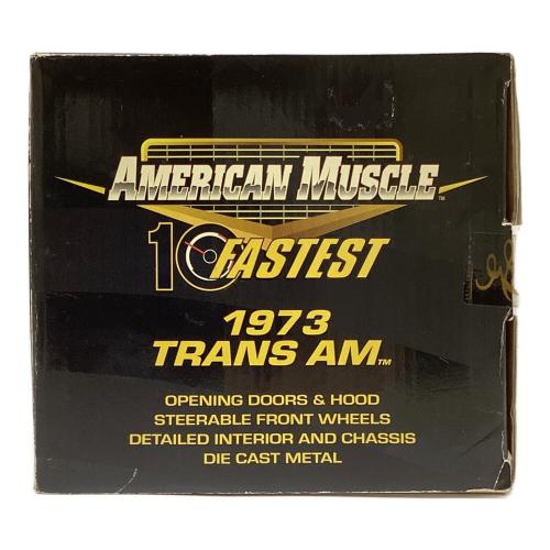ERTL (アーテル) 1/18 1973 TRANS AM モデルカー