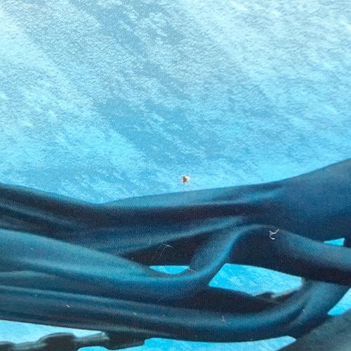 ブラック★ロックシューター －animation version－ 1/8 完成品フィギュア フィギュア