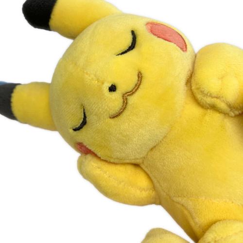 Pokemon Center (ポケモンセンター) カビゴン&ピカチュウ ヌイグルミ もっちりぬいぐるみ