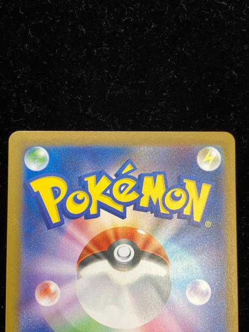 Ｎのゾロアーク ポケモンカード 127/100 SAR @