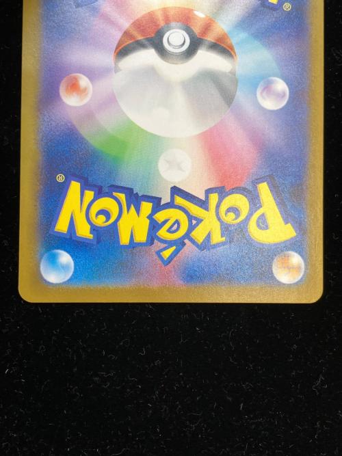 Ｎのゾロアーク ポケモンカード 127/100 SAR @