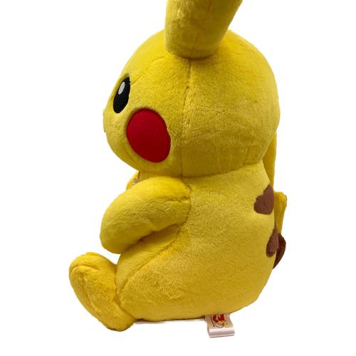 ピカチュウ（メスのすがた） 30周年記念ぬいぐるみ 一番くじ ラストワン賞
