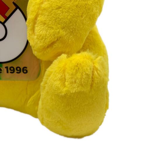 ピカチュウ（メスのすがた） 30周年記念ぬいぐるみ 一番くじ ラストワン賞