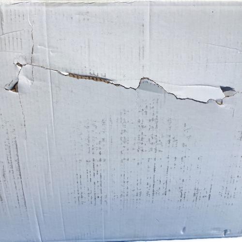 SABBATICAL (サバティカル) シェルター 89200001117000 箱ダメージ有 スカイパイロットＴＣ