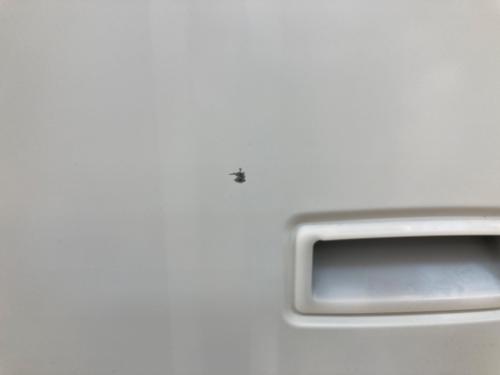 SHARP (シャープ) 洗濯機 ES-GE5G-W 2023年製 キズ有