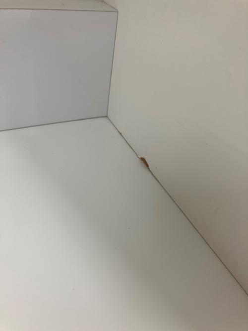 Pamouna (パモウナ) レンジボード ホワイト