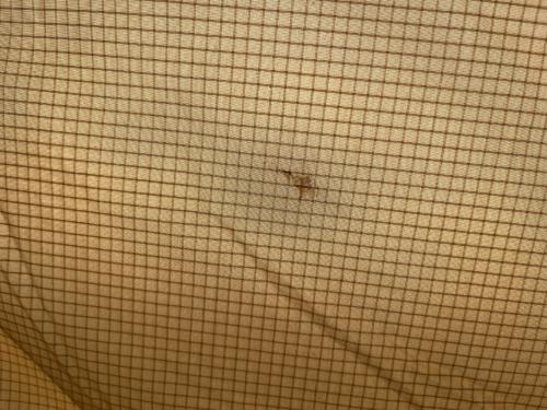 NEMO (ニーモ) シェルター NM-HEX-6P ヘキサライト 6P 約561x470x226cm 6人用