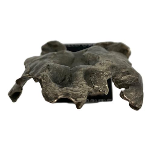 中村 晋也作　｢Premiere｣　オブジェ