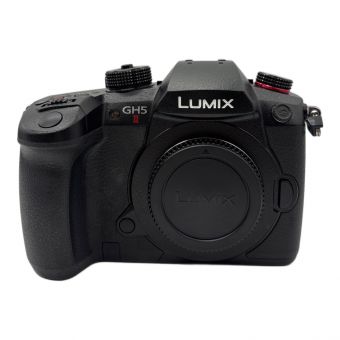 Panasonic (パナソニック) LUMIX一眼レフカメラ DC-GH5M2 WG1SA002124