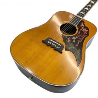 EPIPHONE (エピフォン) アコースティックギター  FT120