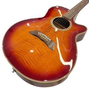 Takamine (タカミネ)  PT-106