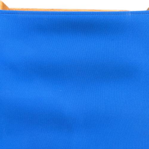 Blue Ridge Chair Works (ブルーリッジチェアワークス) アウトドアチェア ブルー スモールBRチェア